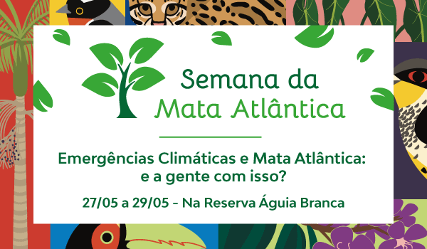Emergncias Climticas e Mata Atlntica: e a gente com isso?